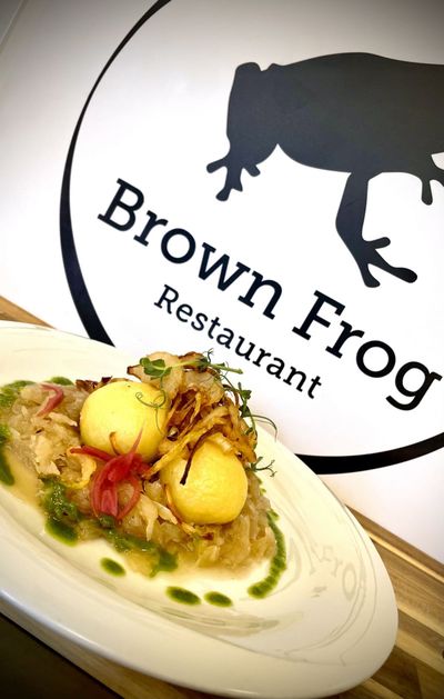 Brown Frog