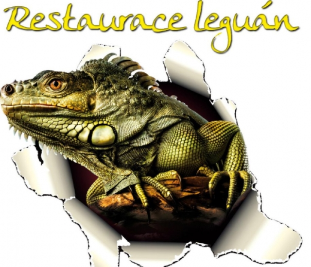 Leguán