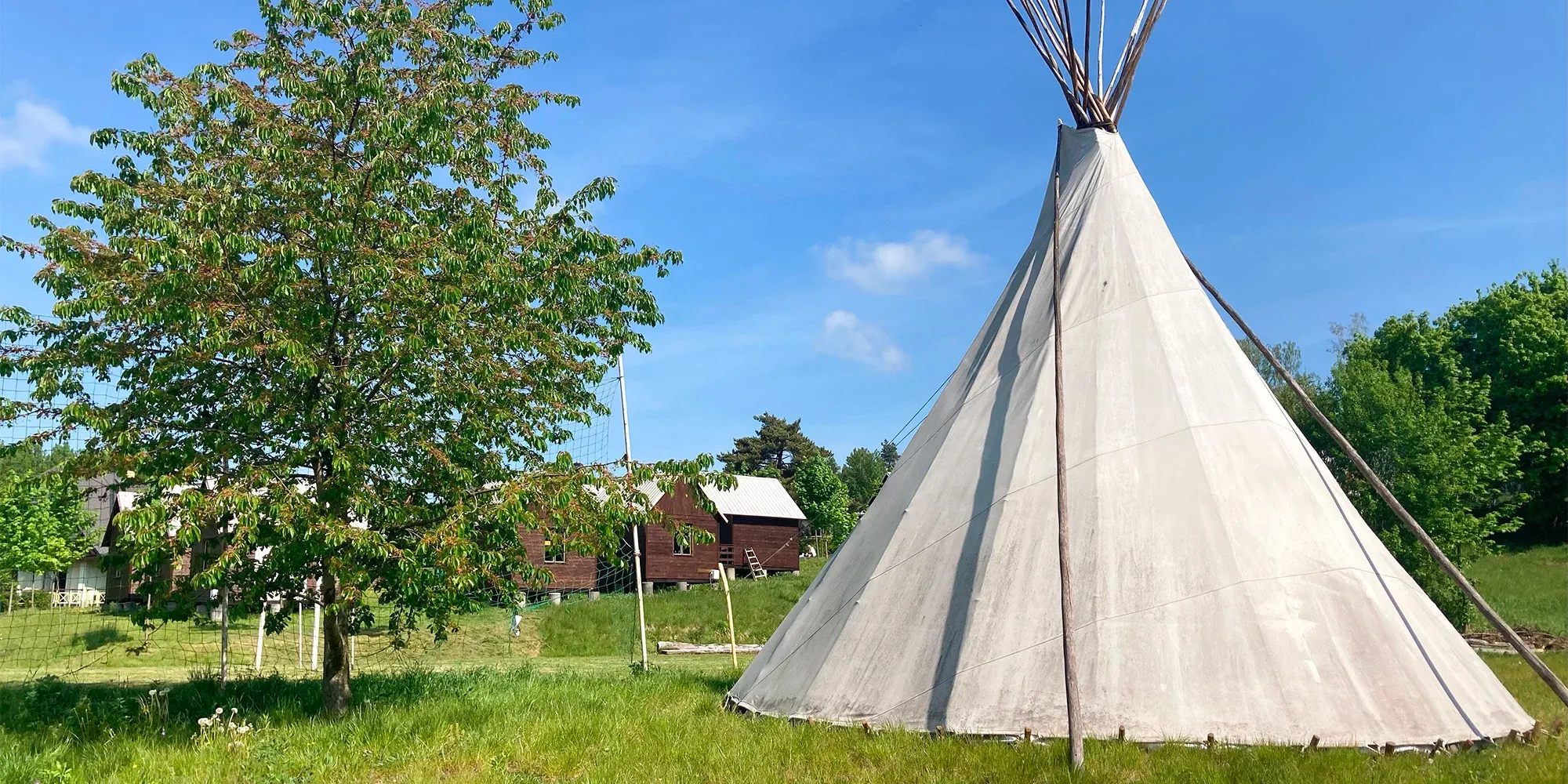 Fino Club