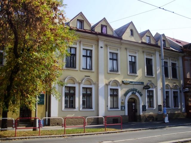 Alvi