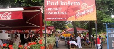 Pod Košem