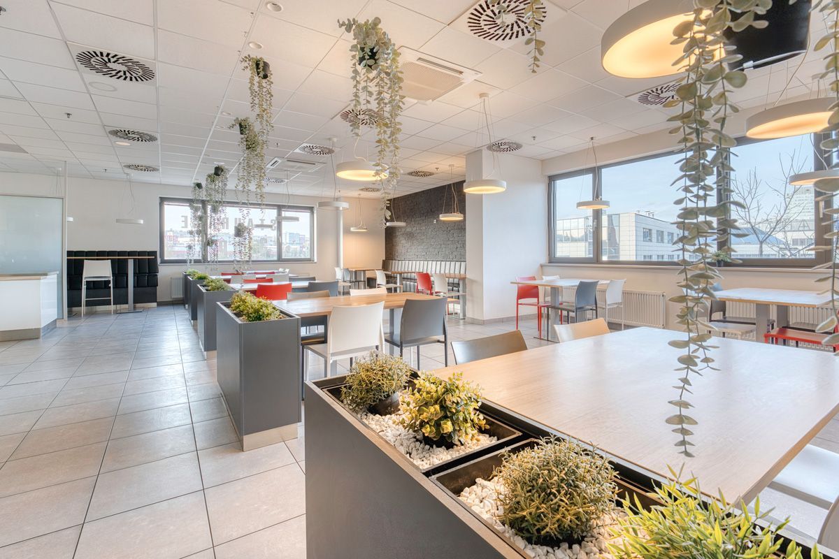 Milenium Kitchen