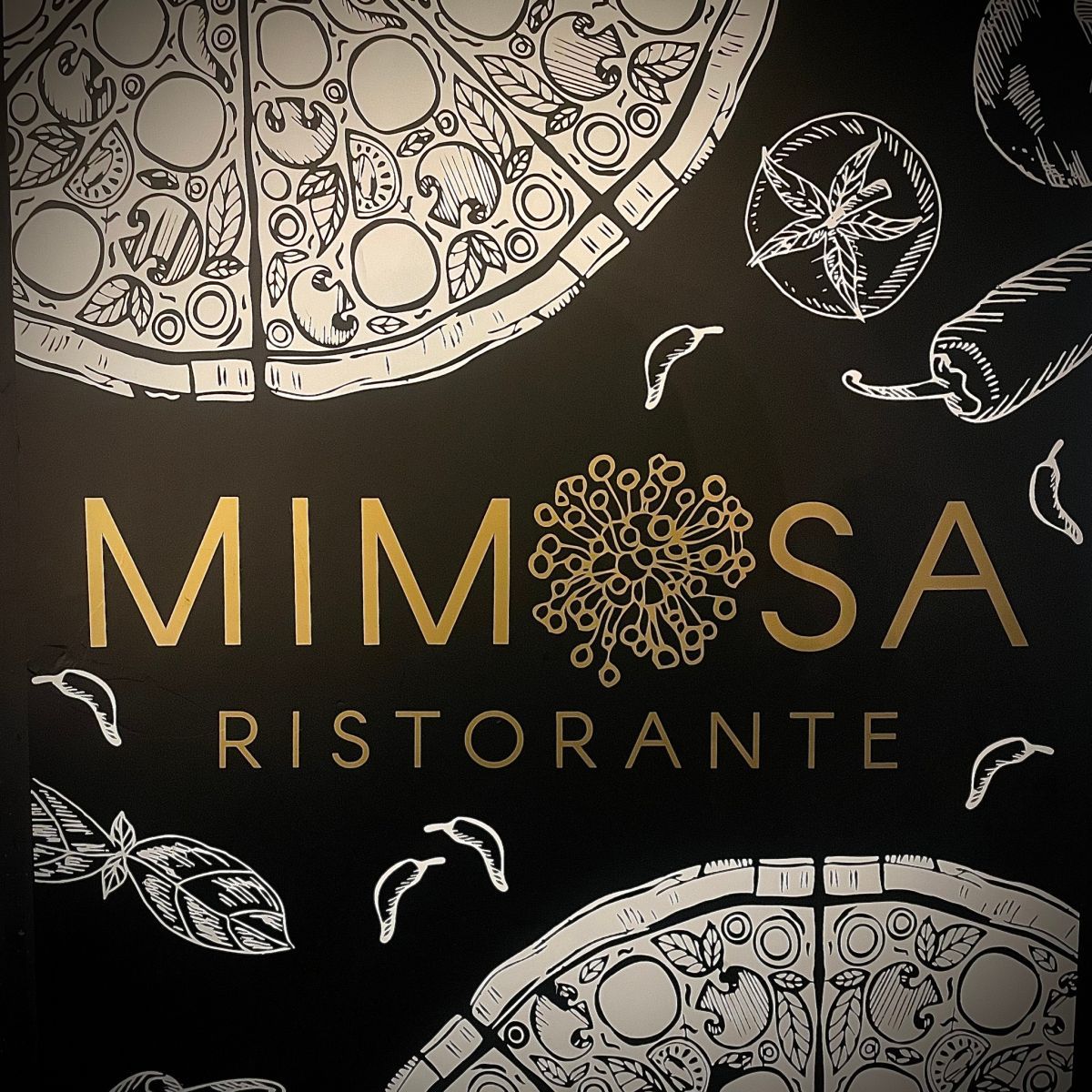 Mimosa