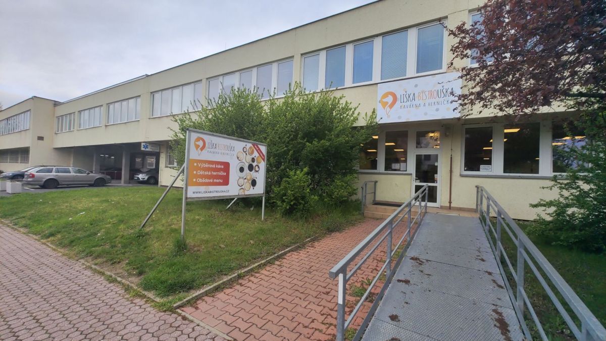 Liška Bistrouška