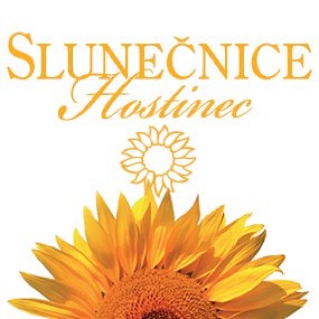 Slunečnice