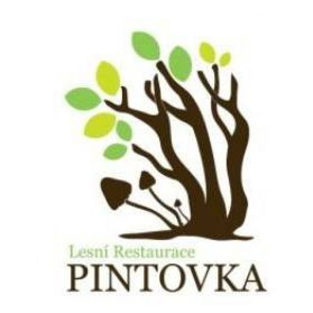 Pintovka