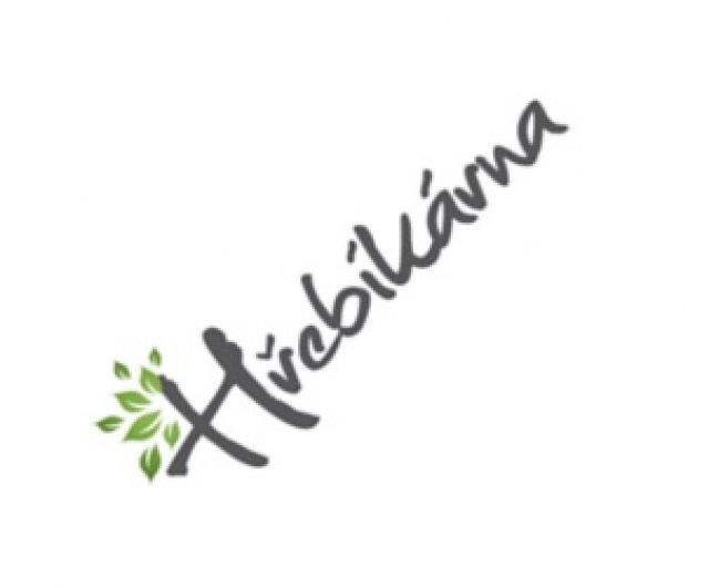 Hřebíkárna