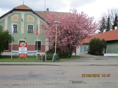 Bartoni
