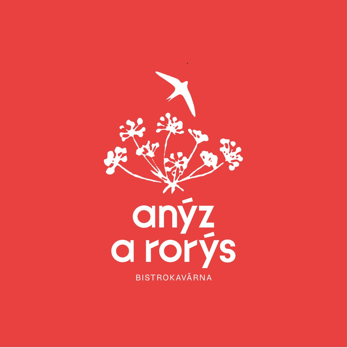 anýz a rorýs